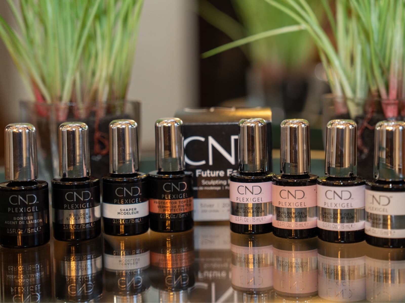 CND Plexigel builder gel at LNO Boutique in Centennial